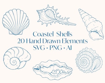 Küsten Muschel Clipart-Set, 80+ handgezeichnete Meereselemente, svg png ai, für Cricut und DIY-Projekte