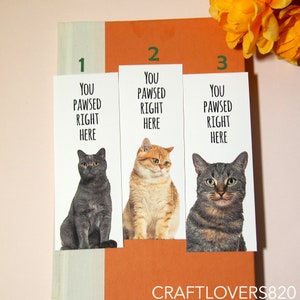 You Pawsed Right Here Bookmark | Cat Lover Bookmark | Book Lover Gift | Bookish | Laminated Cat Bookmark Gift for Cat Lovers | Reader Gift