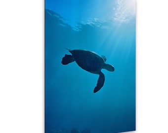 Sea Turtle Print, Honu Underwater Photography, Oahu Ocean Decor