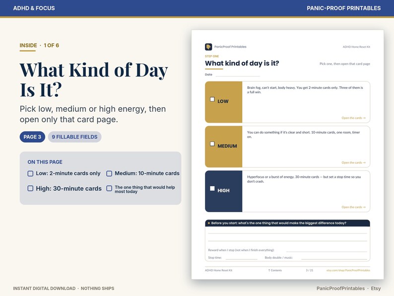 May include: A digital printable planner page titled What Kind of Day Is It? featuring three energy level categories: low, medium, and high. The layout includes checkboxes, text fields for daily planning, and instructions for selecting tasks based on energy levels.