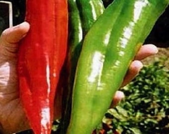 Big Jim Hot Pepper Heirloom Giant Mild Chili Pepper Vegetable Garden 100+ Seeds
