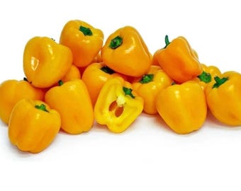 Mini Yellow Bell Pepper Heirloom Rare Non-GMO Vegetable Garden 100+ Seeds