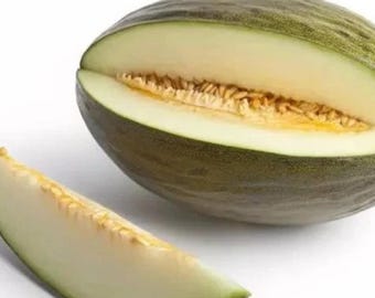 Early Valencia Melon Heirloom Winter Honeydew Valencia  for Garden Planting (24+Seeds )