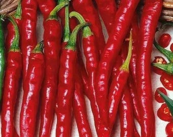 Long Slim Cayenne Hot Pepper Heirloom Spicy Chili Vegetable Garden 100+ Seeds