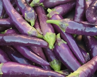 Purple Cayenne Pepper Hot Heirloom Chili Vegetable Garden 50+ Seeds