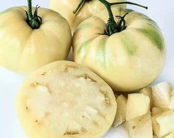 White Beefsteak Tomato | Heirloom Tomato Variety | Organic Style Garden 240+  Seeds