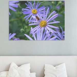 Photograph art Bee and Aster Flower