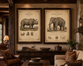 Vintage Elephant Rhinoceros Print Set, Safari Animal Wall Art (Digital Download)