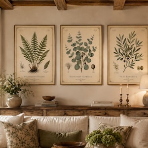 Puede incluir: Tres láminas rectangulares de pared con ilustraciones botánicas de un helecho, eucalipto y una rama de olivo. Cada impresión está enmarcada y muestra el nombre de la planta en texto negro en la parte inferior, Polypodium Vulgare, Eucalyptus Globulus y Olea Europaea.