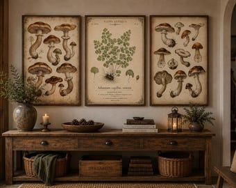 Vintage Mushroom Fern Botanical Prints, Antique Cottagecore Gallery Wall (Digital Download)
