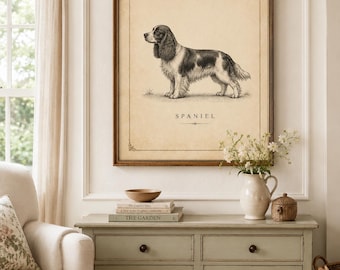 Stampa vintage di un ritratto di cane Spaniel, decorazione murale in stile antico per cottage (download digitale)