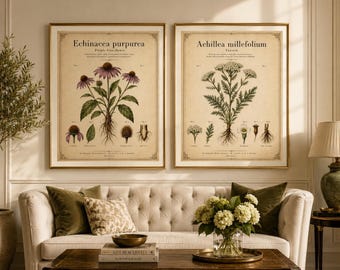 Set di stampe botaniche vintage, arte dell'erbario di Echinacea e Achillea (download digitale)