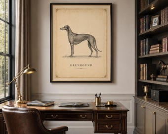Stampa vintage di un ritratto di levriero, illustrazione antica per studio e decorazione (download digitale)