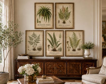 Set di stampe botaniche vintage di felci, opere d'arte antiche da appendere alla parete (download digitale)