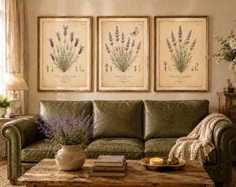 Set of 3 Vintage Lavender Botanical Prints, Antique French Wall Art (Digital Download)