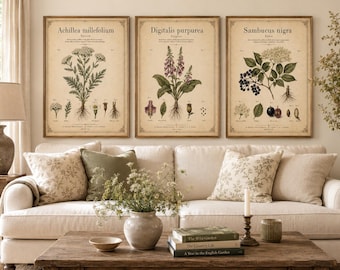 Set di 3 stampe botaniche vintage, Achillea, Digitalis e Sambuco, decorazioni murali con erbario antico.