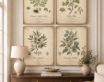 Set di stampe botaniche vintage, arte antica con felce, ginkgo, olivo ed eucalipto (download digitale)
