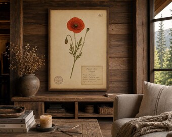 Vintage Poppy Herbarium Art, Antique Botanical Print, Rustic Cabin Decor (Digital Download)