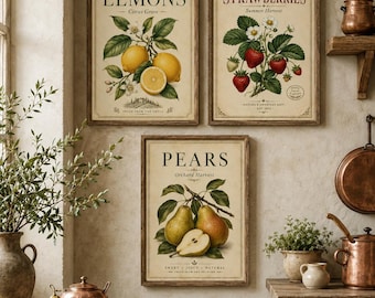 Stampe artistiche vintage di frutta per la cucina: limoni, fragole, pere (download digitale)