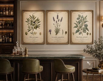 Set di stampe botaniche mediterranee, quadri da parete con olivo, lavanda ed eucalipto (download digitale)