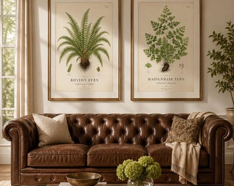 Set di stampe vintage, arte botanica da parete, felce di Boston, felce capelvenere (download digitale)