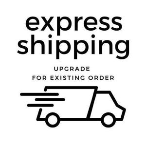 Può includere: Una grafica in bianco e nero che presenta il testo express shipping in un carattere sans-serif in grassetto, seguito dal testo UPGRADE FOR EXISTING ORDER in un carattere più piccolo e un disegno stilizzato a linee nere di un furgone.
