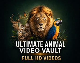 254 djurvideor i full HD – vilda djur, katter, fåglar, insekter (digital nedladdning)