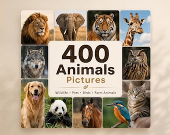 Animal Photo Bundle – 400 Pictures