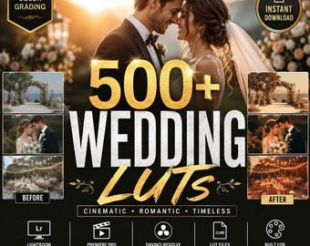 Colección de más de 500 LUTs para bodas: preajustes de corrección de color cinematográficos (descarga digital)