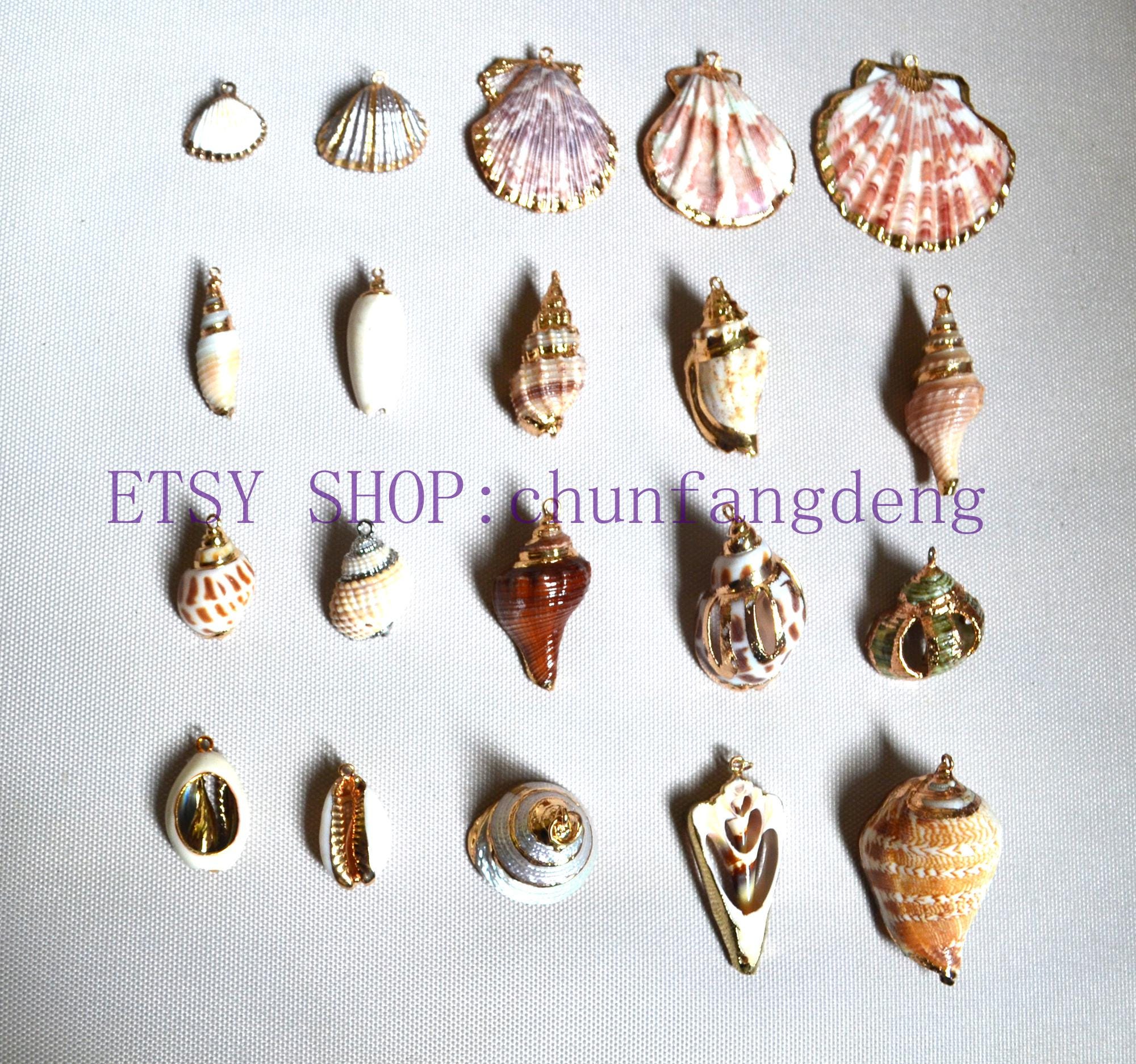 Natural Shell Charm, Real Conch Pendant, Hanging Marine Life Charm, DIY ...
