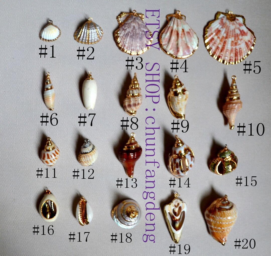 Natural Shell Charm, Real Conch Pendant, Hanging Marine Life Charm, DIY ...