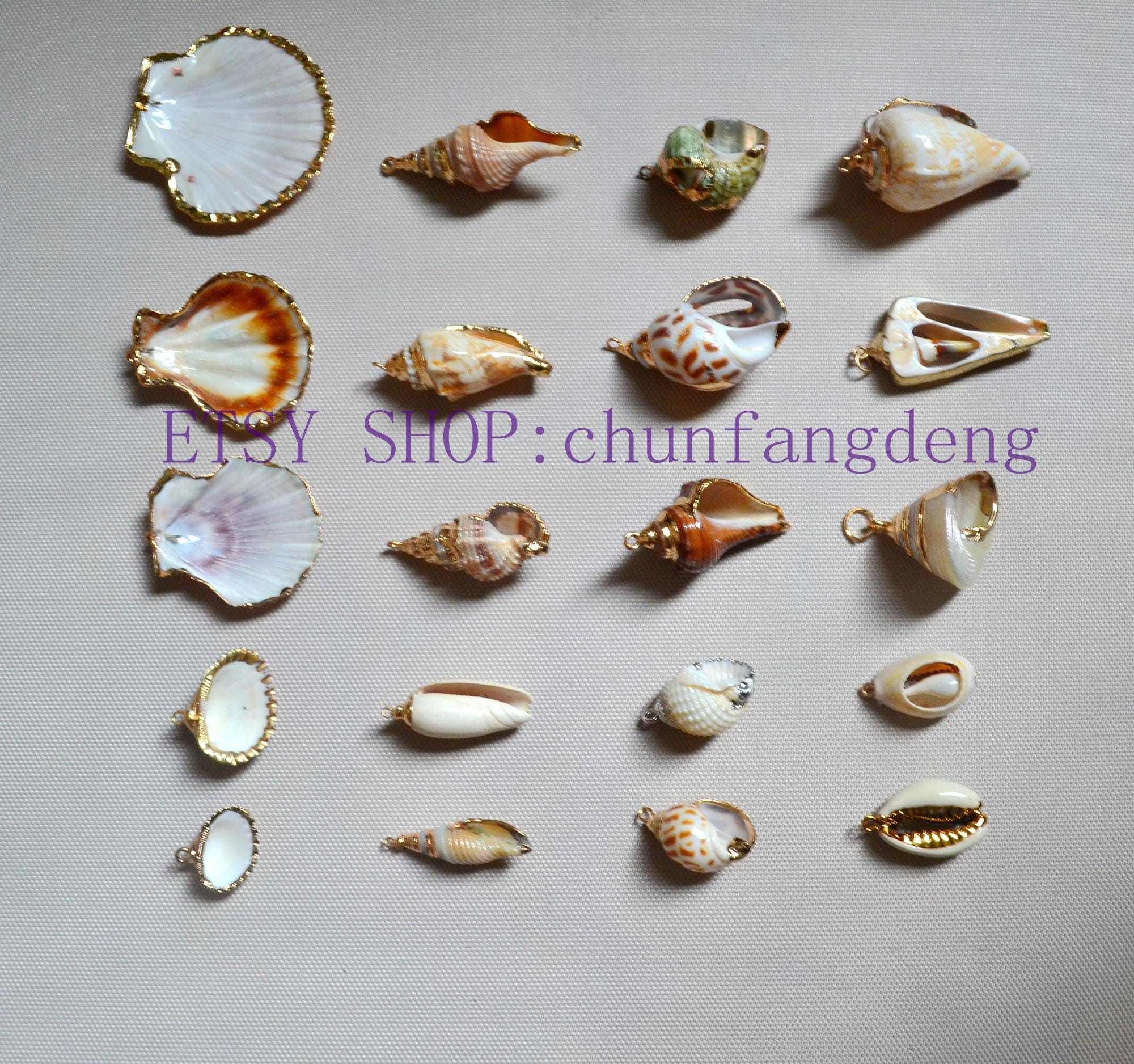 Natural Shell Charm, Real Conch Pendant, Hanging Marine Life Charm, DIY ...