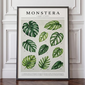 Monstera Leaf Study Print – Botanical Watercolor Wall Art Poster