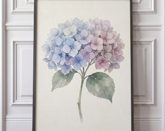 Aquarell Hortensien Print - Blaues Florales Botanisches Wand Kunst Poster