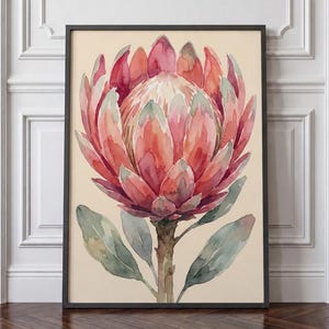 Op de afbeelding: Een ingelijst aquarel schilderij met een grote proteabloem met gelaagde bloemblaadjes in tinten roze, koraal en zachtgroen. De bloem is gecentreerd op een lichtcrèmekleurige achtergrond en toont gedetailleerde penseelstreken en botanische kunst.