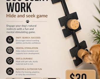 Entrenamiento de detección de olores en el juego de escondite