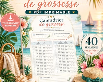 Printable Caribbean Pregnancy Calendar | 40-Week PDF Tracker | Pregnancy Tracker | Tropical Baby Planner | Gift for Expectant Mothers