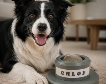 Custom 3D Printed Pet Treat Dispenser – Interactive Dog Enrichment Toy (14x14x5cm)