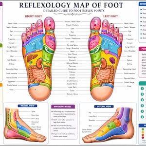Op de afbeelding: Een gedetailleerde reflexologiekaart van de voet, met gelabelde reflexpunten voor verschillende lichaamsdelen. De poster bevat diagrammen van de rechter- en linkervoet, met kleurgecodeerde zones en tekst met details over voordelen en hoe het te gebruiken. De tekst bevat "Reflexology Map of Foot".