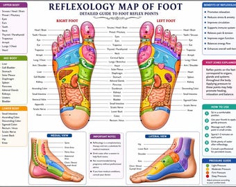 Mapa podal de reflexología imprimible