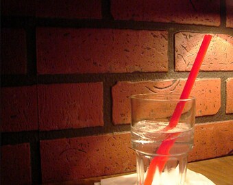 Photograph, Glass with Red Straw, 8x10 Photo, 11x14 Mat