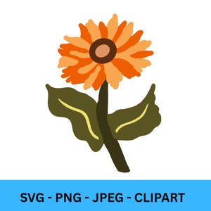 May include: A stylised illustration of a sunflower with orange and yellow petals, a brown centre, green leaves, and a dark green stem. The text "SVG - PNG - JPEG - CLIPART" is at the bottom.
