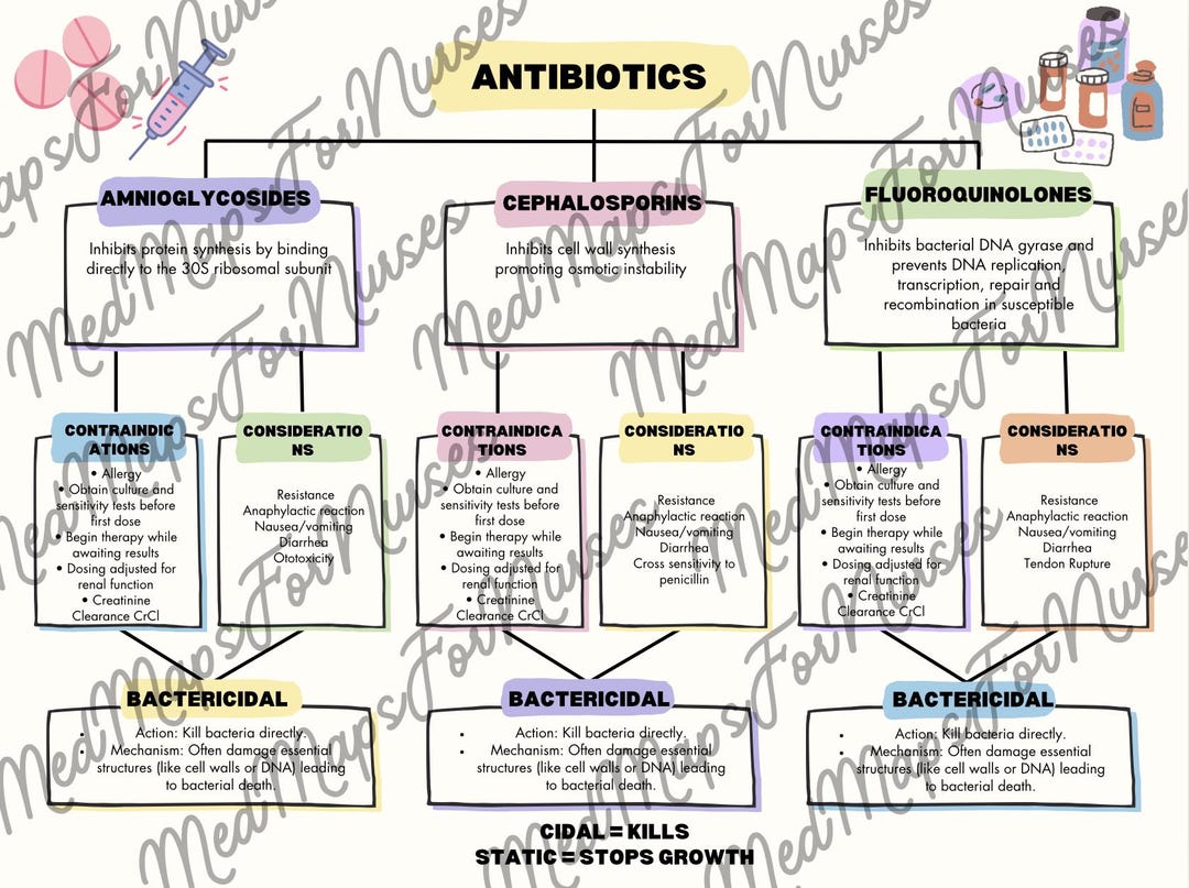 Antibiotics Med Map Study Guide - Etsy