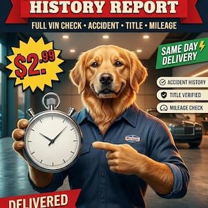 May include: An illustration features a golden retriever in a mechanic's uniform, holding a stopwatch and pointing. Text includes "USA Vehicle History Report," "Full VIN Check," and "Delivered Today." The image also displays a price tag and a "Same Day Delivery" banner.