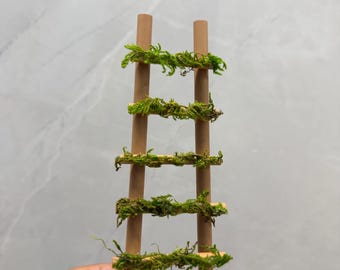 Mossy Ladder - Jumping Spider Enclosure Decor