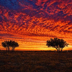 May include: A vibrant sunset over a field with silhouetted trees. The sky is filled with fiery orange and red clouds, transitioning to a deep blue at the top. The foreground shows a dark, grassy landscape.