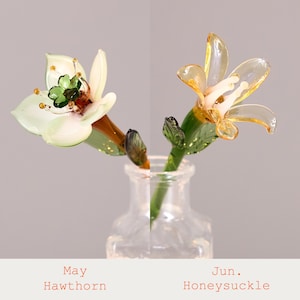 Puede incluir: Dos esculturas de flores de vidrio en una botella de vidrio transparente. La flor de la izquierda es blanca con un centro verde, etiquetada como May Hawthorn. La flor de la derecha es de tono &aacute;mbar con estambres blancos, etiquetada Jun. Honeysuckle.