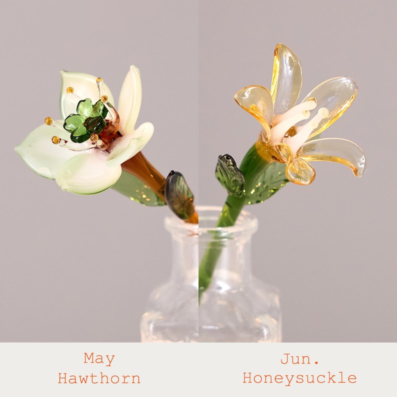 Puede incluir: Dos esculturas de flores de vidrio en una botella de vidrio transparente. La flor de la izquierda es blanca con un centro verde, etiquetada como May Hawthorn. La flor de la derecha es de tono &aacute;mbar con estambres blancos, etiquetada Jun. Honeysuckle.