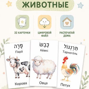 Hebrew Russian Flashcards, Printable Flashcards, Animal Flashcards, Toddler Flashcards, Baby Flashcards, Animal Cards Set, Flashcards PDF