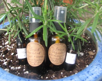 Insect Repellent - Essential oils
